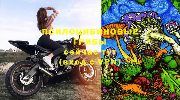 гашик Алзамай