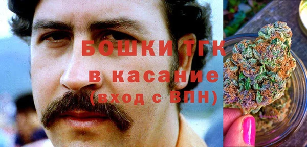 гашик Алзамай