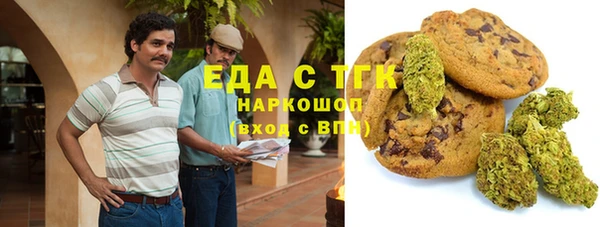гашик Алзамай