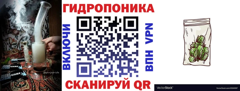 купить закладку  Грайворон  Канабис Ganja 